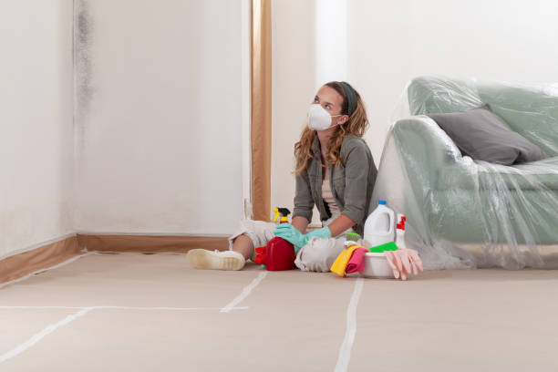 Reliable Bathroom Mold Removal contractor in Clinton, MD by Mold Remediation HQ